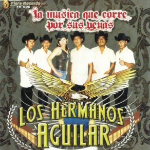 Download track Perdoname Los Hermanos Aguilar