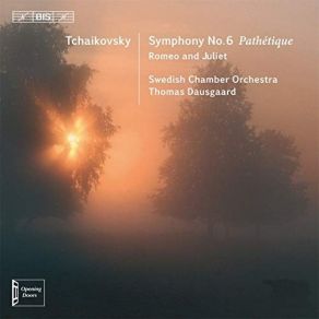 Download track 02 - Symphony No. 6 In B Minor 'Pathétique', Op. 74 (1893) - II. Allegro Con Grazia Piotr Illitch Tchaïkovsky