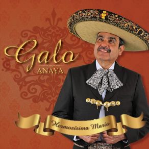 Download track Eliseo Magana Galo Anaya