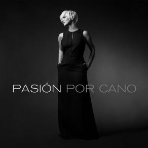 Download track Danzón Del Corazón Pasión Vega