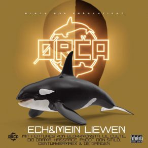 Download track Jeder Geht Seinen Weg Orca