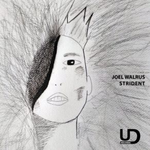 Download track Dodongo Joel Walrus