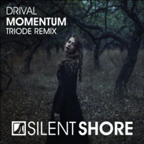 Download track Momentum (Triode Radio Edit) Drival