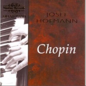 Download track Scherzo No. 1 In B Minor, Op. 20 Frédéric Chopin