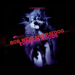 Download track Welcome To The World Bob Weir, Ratdog