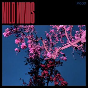 Download track Formations Mild Minds