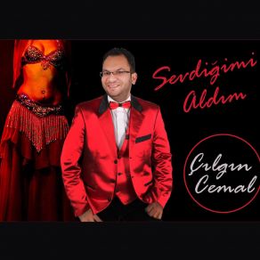 Download track Sevdiğimi Aldım (Roman) Çılgın CemalRomán