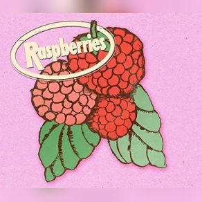 Download track Starting Over Raspberries