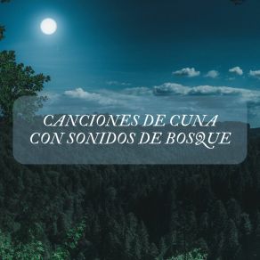 Download track Melodías Nocturnas Alondra Sonido De La Naturaleza Para Dormir