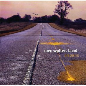 Download track Dancing With Shadows Coen Wolters Band