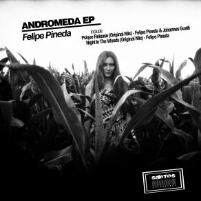 Download track Night In The Woods (Original Mix) Felipe Pineda