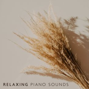 Download track Parisian Piano Sounds The Jazz Masters