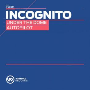 Download track Under The Dome (Original Mix) Incognito
