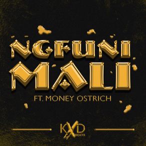 Download track Ngfuni Mali Money Ostrich