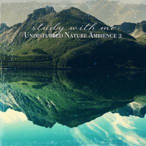 Download track Undisturbed Nature Ambience, Pt. 16 Sebastian Riegl