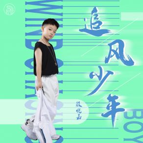 Download track 追风少年 (伴奏) 殷悦嘉