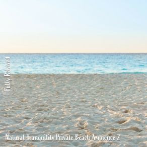 Download track Natural Tranquility Private Beach Ambience, Pt. 5 Steve Brassel