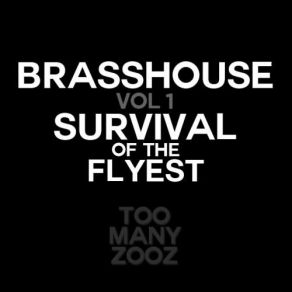 Download track Survival Of The Flyest Too Many Zooz