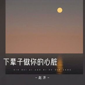 Download track 下辈子做你的心脏 赵洋