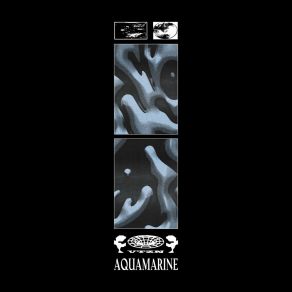 Download track Aquamarine VTZN