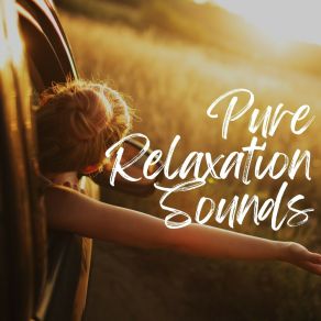 Download track Meditation Zen Relaxing Guru, Pt. 4 Deep Sleep Music Maestro