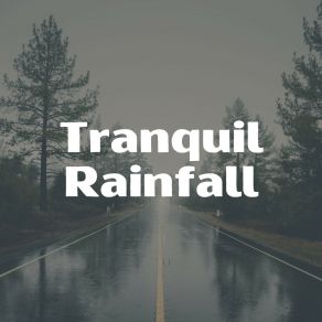 Download track Nature Rain, Pt. 20 24H Rain Sounds
