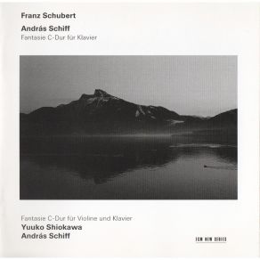 Download track Fantasia For Piano In C Major ('Wanderer'), D. 760 (Op. 15) Franz Schubert