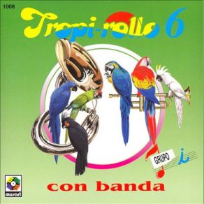 Download track Banda-Balada Mix: Un Indio Quire Llorar / Nieves De Enero / Leña De Pirul Grupo I