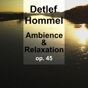 Download track Drifting Through Clouds Detlef Hommel