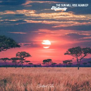 Download track The Sun Will Rise Again Mellowdy