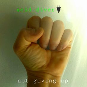 Download track Digital Soldier Acid Diver