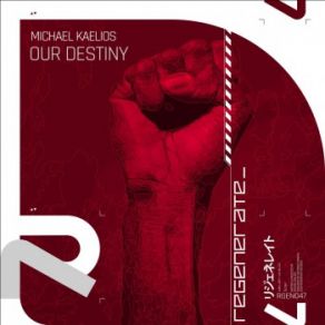 Download track Our Destiny (Extended Mix) Michael Kaelios