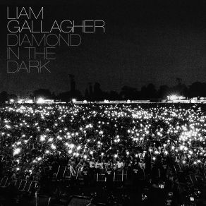 Download track Diamond In The Dark Liam Gallagher