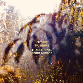 Download track Transitional Spirit Mirror Future Museums