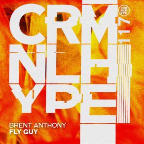 Download track Fly Guy (Extended Version) Brent AnthonyJennifer Jamieson