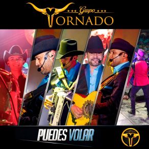 Download track Puedes Volar Grupo Tornado