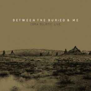 Download track Rapid Calm Between The Buried And Me