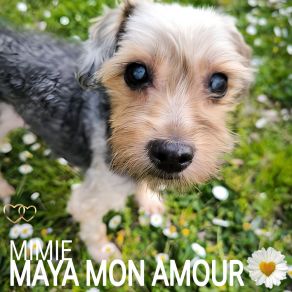 Download track MAYA ET MIMIE NOTRE AMOUR FUSIONNEL Mimie MathyMIMIE NOTRE AMOUR FUSIONNEL