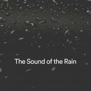 Download track Spectacular Rainstorm Forest Rain FX