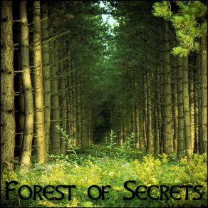 Download track Emerald Fairies Derek Fiechter