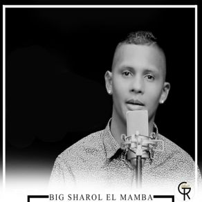 Download track Momentos Big Sharol