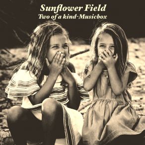 Download track Playground-Musicbox Sunflower Field