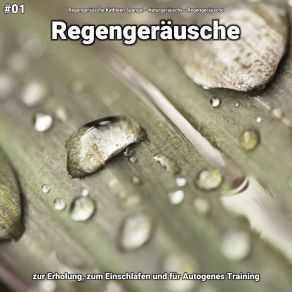 Download track Regengeräusche, Pt. 21 Regengeräusche