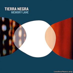 Download track Alligator Alley Tierra Negra