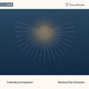 Download track Cultivating Compassion, Pt. 4 (Instrumental) ΟΡΓΑΝΙΚΟ, The Bombay Dub Orchestra