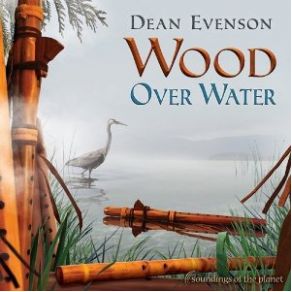 Download track Patterns Of Becoming Dean Evenson