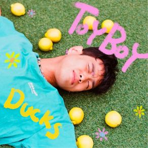 Download track Toy Boy Intro Ducks