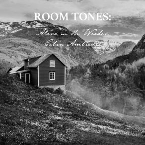 Download track Alone In The Wooden Cabin Ambience, Pt. 14 Nowak Sommer