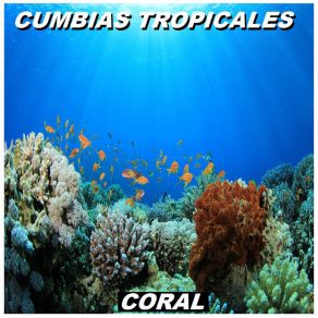 Download track Popurri Colombiano Cumbias Tropicales