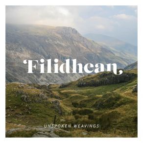 Download track Cooley's Reel Filidhean